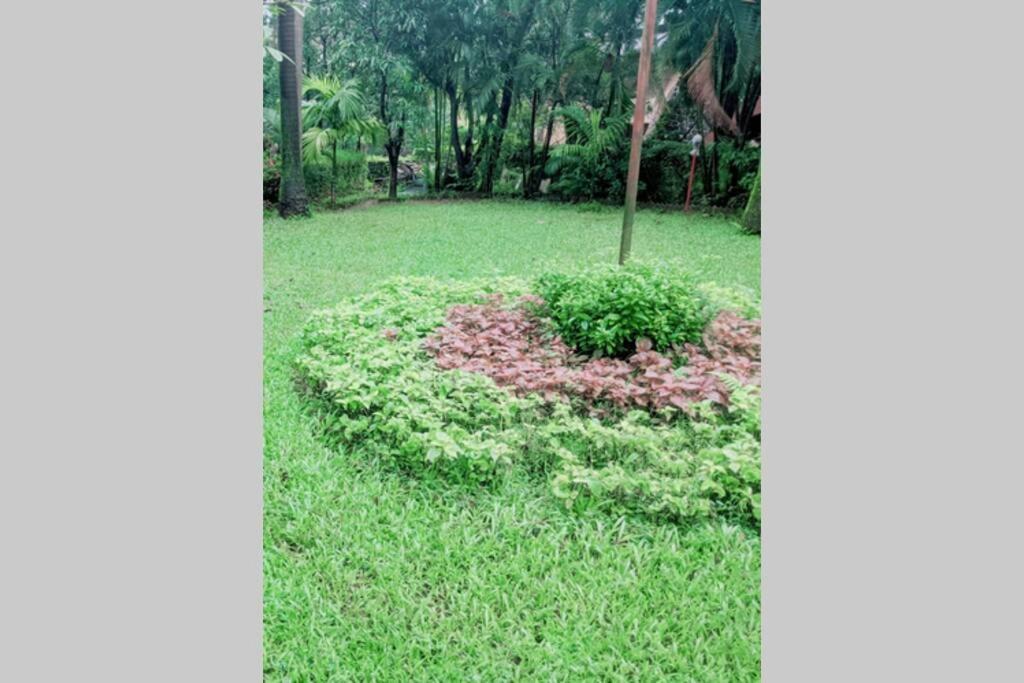 Ivy Garden View, 2 Bhk Private House, Lonavala Villa Exterior photo